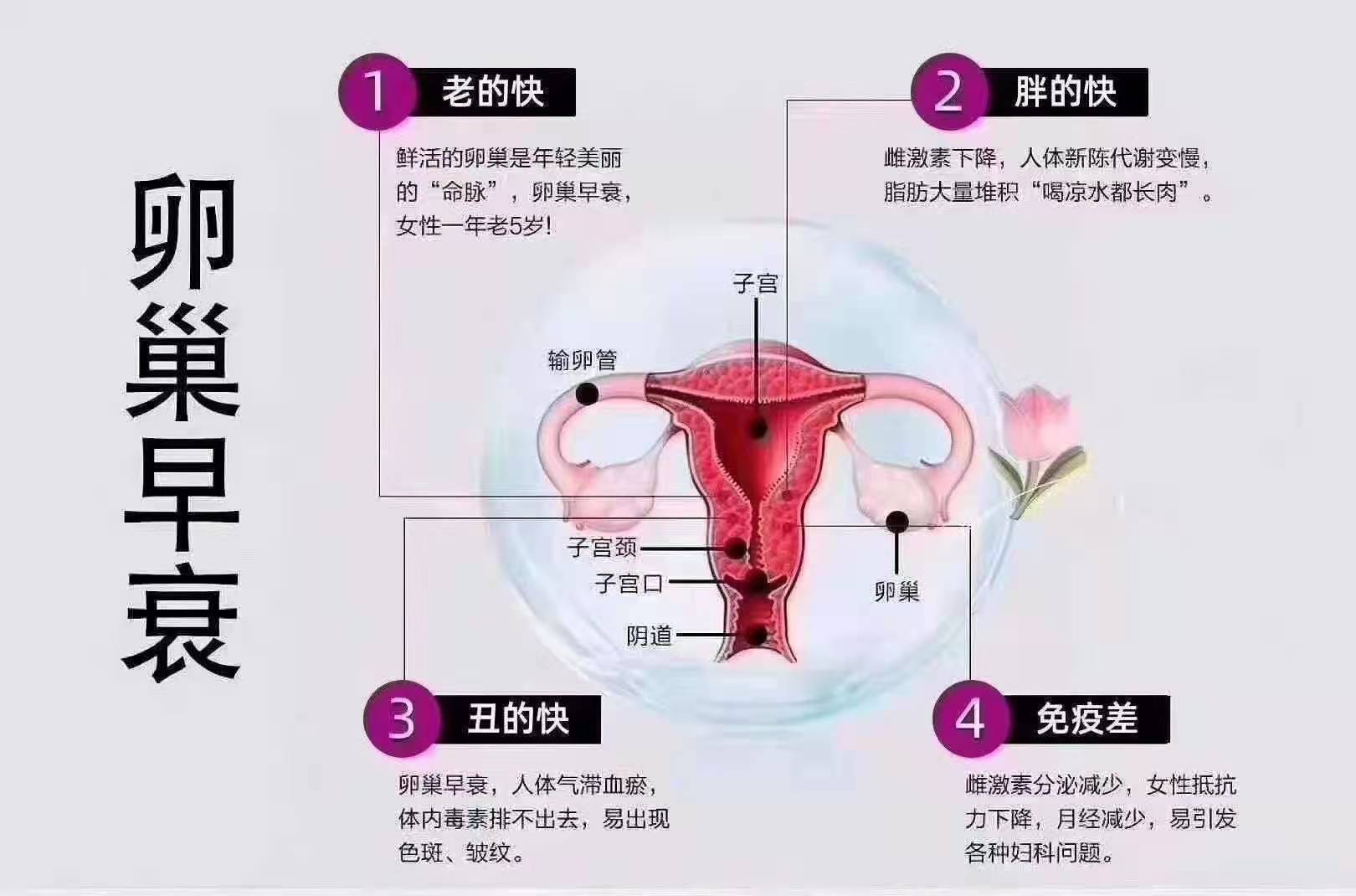 十月阳光姊妹品牌“奎特公馆产后恢复”为您准备的两个特惠福利，快点打开吧！(图14)